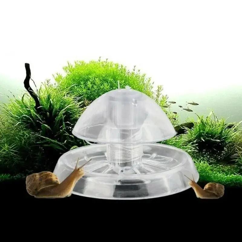 Aquarium Plant Delivery - 2026 New 6/8CM Clear Plastic Snail