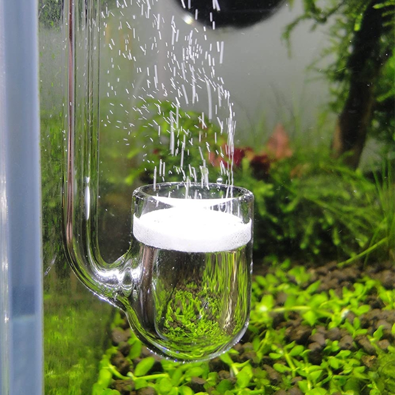 D0AD Glass CO2 Diffuser for Aq - Aquarium Plant Delivery recension och pris