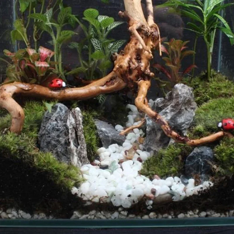Natural Tree Trunk Driftwood A - Aquarium Plant Roots recension och pris