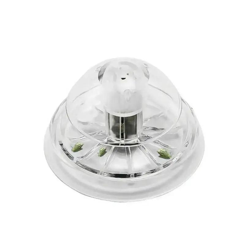 2026 New 6/8CM Clear Plastic S - Aquarium Plant Delivery recension och pris