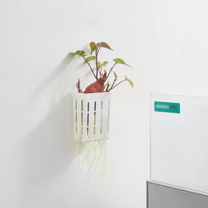 1Pcs Hydroponic Support Basket - Aquarium Plants recension och pris