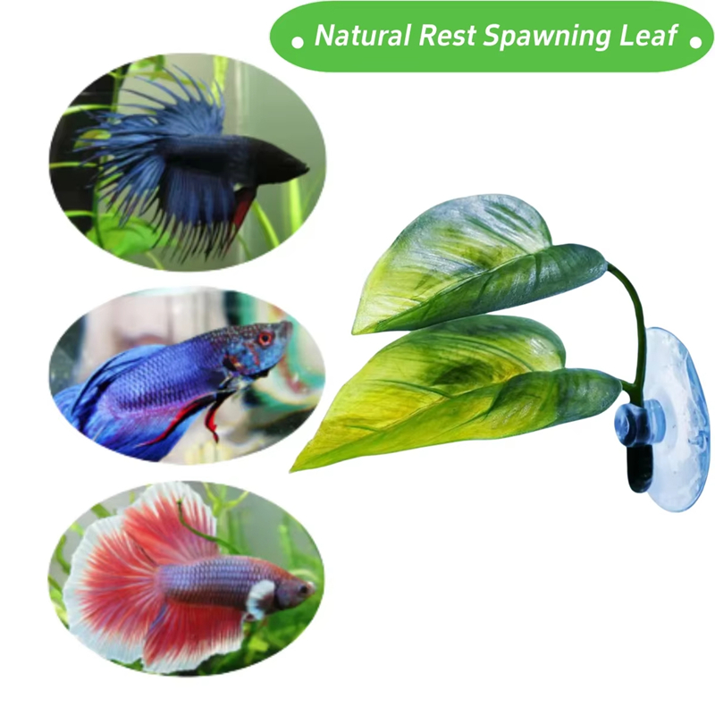 Aquarium Pet Supplies Decorati - Aquarium Planted Fish Tank recension och pris