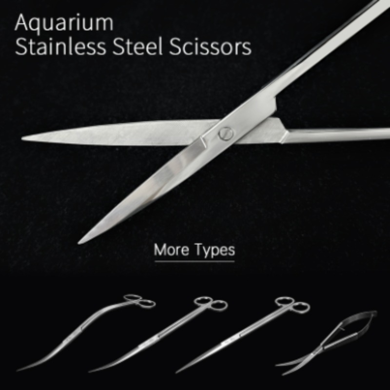 Week Aqua Stainless Steel Aqua - Aquarium Plant Delivery recension och pris