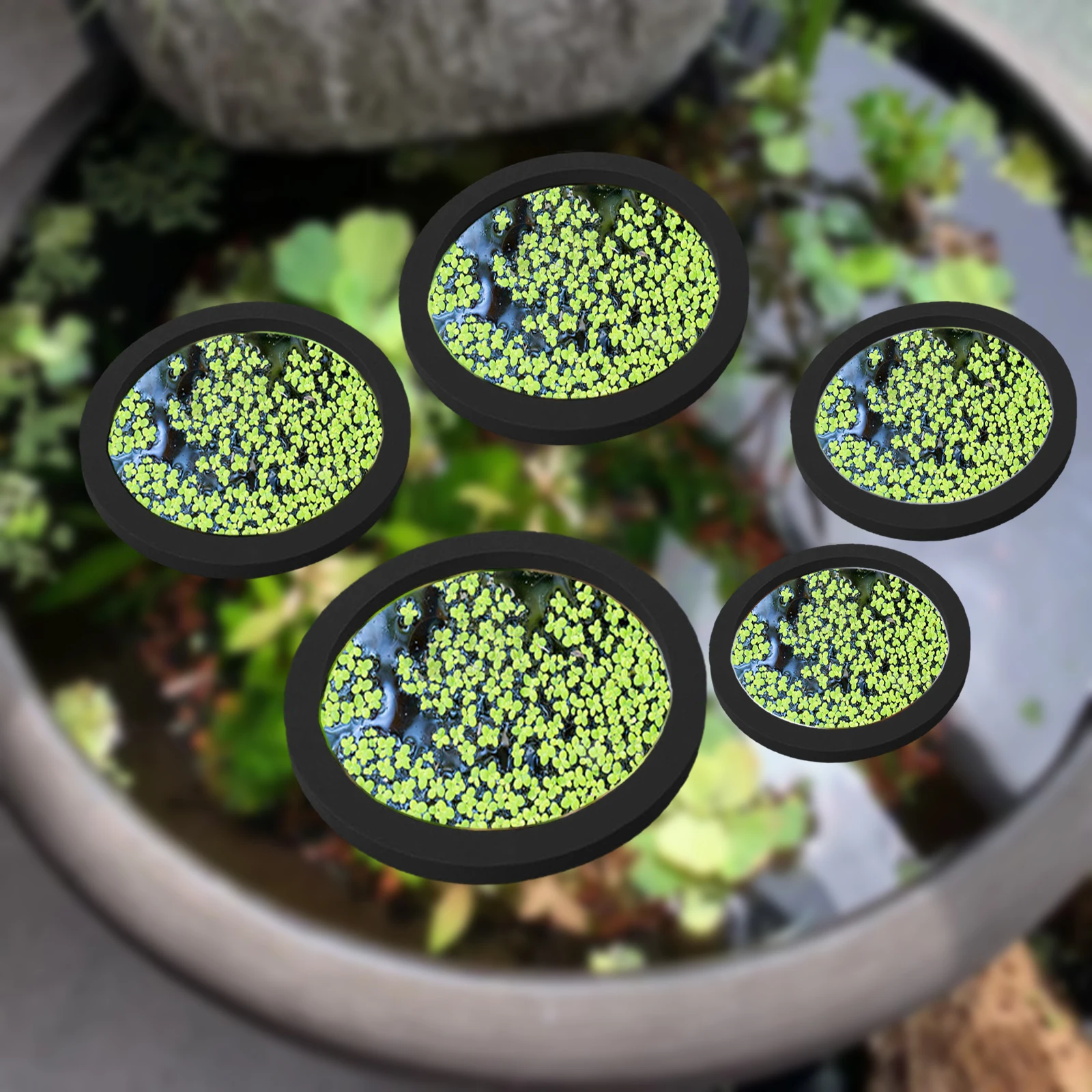 5Pcs EVA Fish Feeding Ring Aqu - Aquarium Plants recension och pris