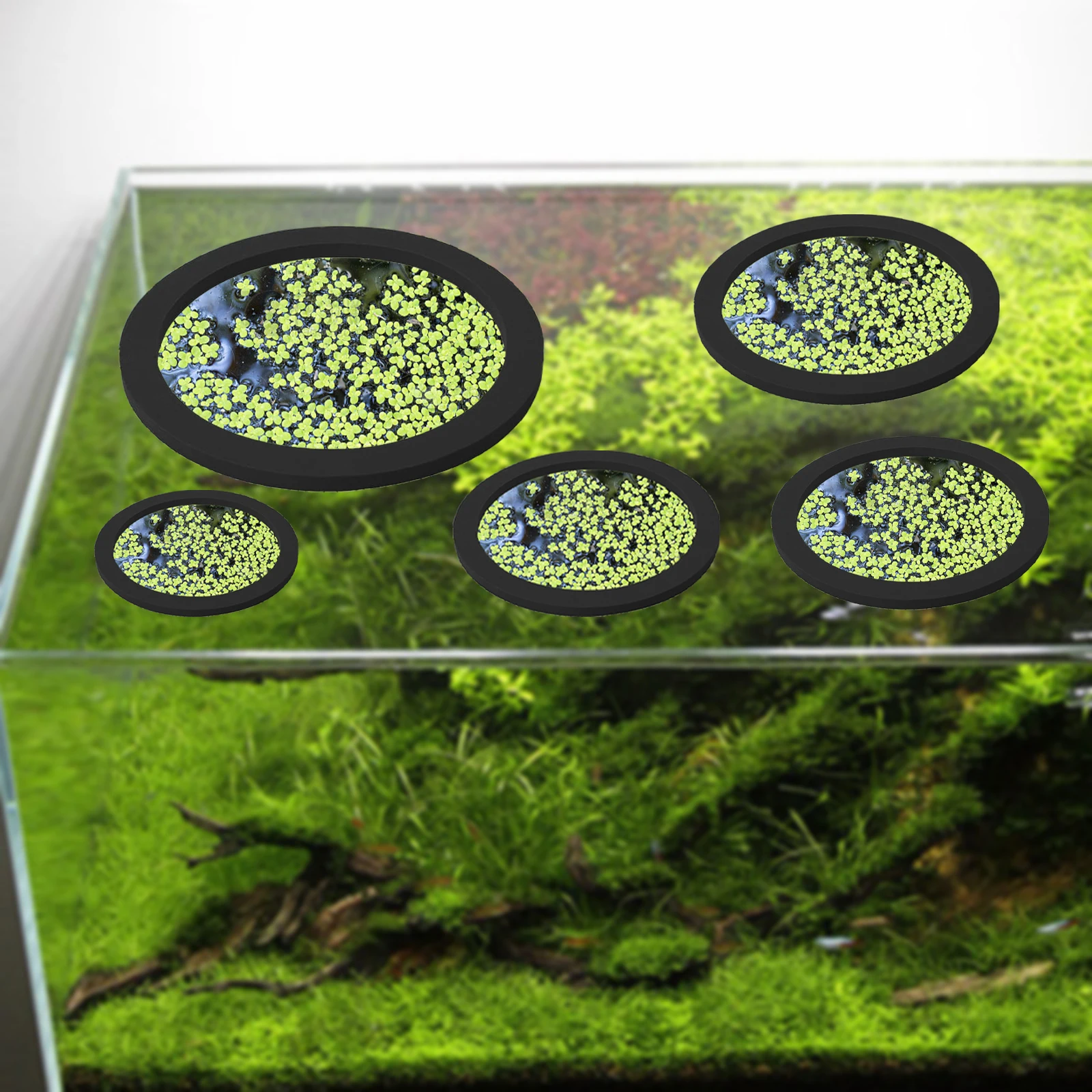 5Pcs EVA Fish Feeding Ring Aqu - Aquarium Plants recension och pris