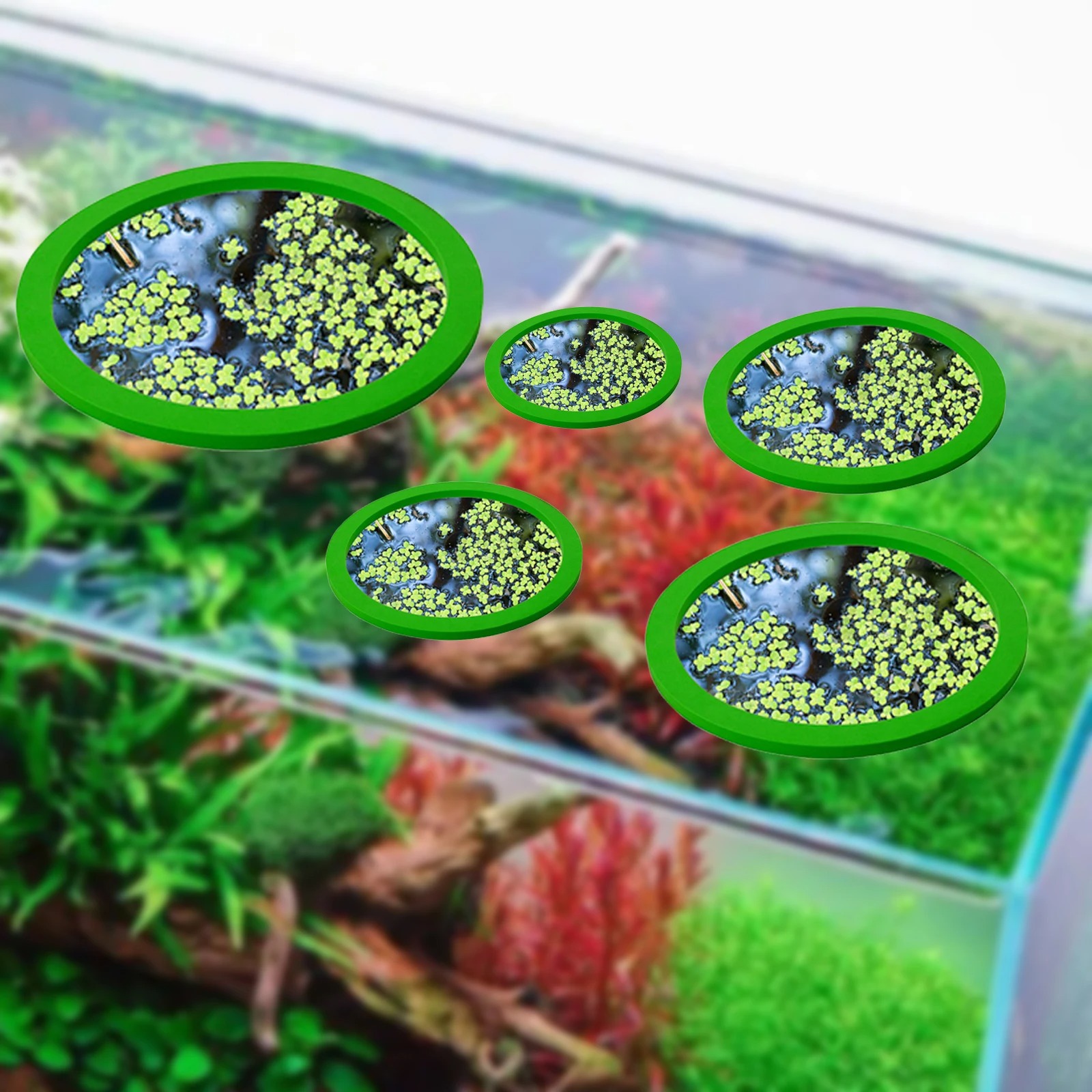 5Pcs EVA Fish Feeding Ring Aqu - Aquarium Plants recension och pris