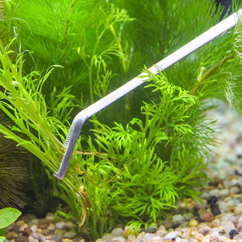 Professional Aquarium Maintena - Planted Aquarium Maintenance recension och pris