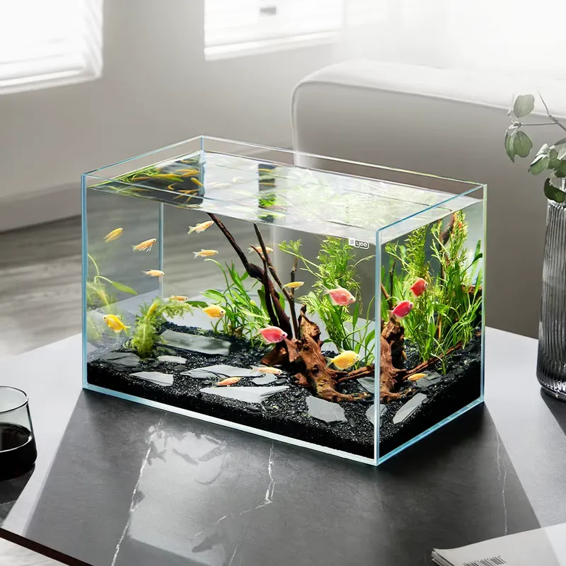 YEE Factory Wholesale ultra cl - Aquarium Plant Factory recension och pris