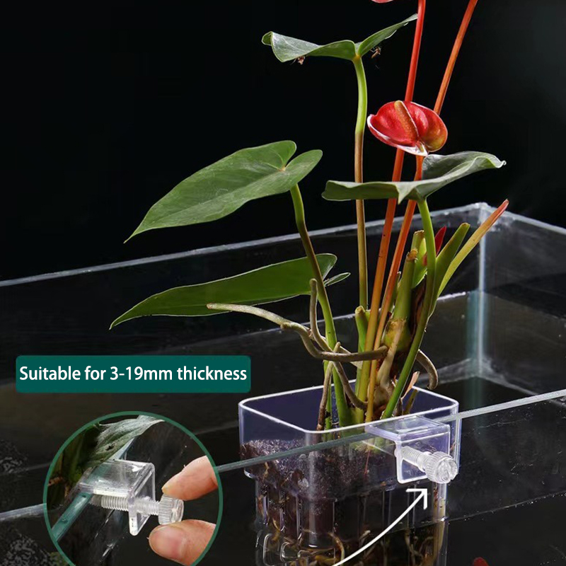 Multifunctional Fish Aquarium  - Aquarium Planted Fish Tank recension och pris
