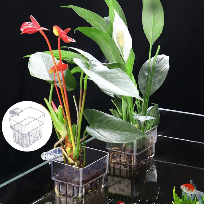 Multifunctional Fish Aquarium  - Aquarium Planted Fish Tank recension och pris