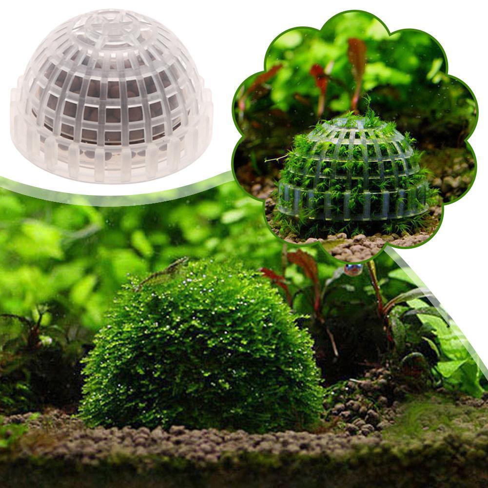 1pc Aquatic Pet Supplies Decor - Planted Aquarium Maintenance recension och pris