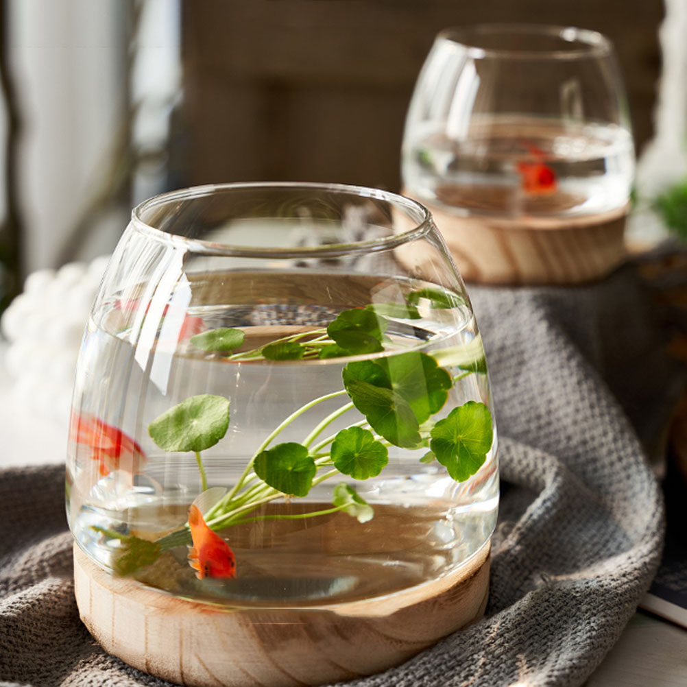 1Set Clear Glass Hydroponic Pl - Aquarium Plants recension och pris