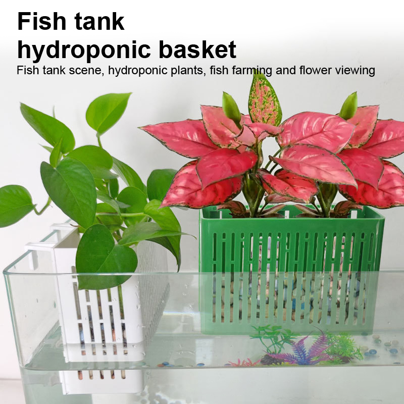 【F】Fish Tank Hanging Planter A - Aquarium Plant Delivery recension och pris
